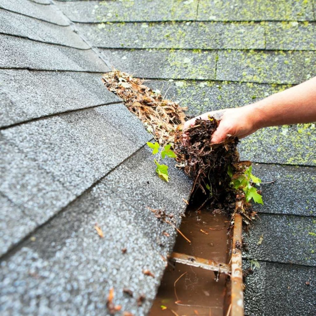Gutter Cleaning Cardiff